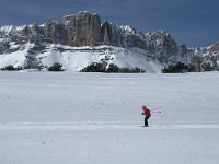 F, Isere, Gresse-en-Vercors, Roche Rousse 5, Saxifraga-Jan van der Straaten