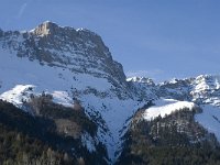 F, Isere, Gresse-en-Vercors, Rocher de Seguret 5, Saxifraga-Jan van der Straaten