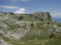 F, Isere, Gresse-en-Vercors, Rochers du Parquet 4, Saxifraga-Willem van Kruijsbergen