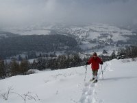 F, Isere, Gresse-en-Vercors, Serpaton 10, Saxifraga-Jan van der Straaten