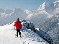 F, Isere, Gresse-en-Vercors, Somme Longue 1, Saxifraga-Jan van der Straaten