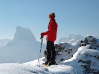 F, Isere, Gresse-en-Vercors, Somme Longue 3, Saxifraga-Jan van der Straaten