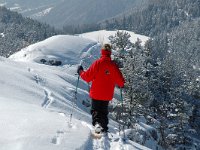 F, Isere, Gresse-en-Vercors, Somme Longue 4, Saxifraga-Jan van der Straaten