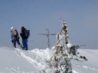 F, Isere, Gresse-en-Vercors, Somme Longue 8, Saxifraga-Marijke Verhagen