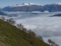 F, Isere, Gresse-en-Vercors, Taillefer 1, Saxifraga-Jan van der Straaten