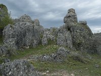 F, Lozere, Fraissinet-de-Fourques, Nimes-le-Vieux 29, Saxifraga-Willem van Kruijsbergen