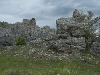 F, Lozere, Fraissinet-de-Fourques, Nimes-le-Vieux 40, Saxifraga-Willem van Kruijsbergen