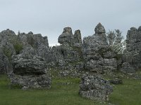 F, Lozere, Fraissinet-de-Fourques, Nimes-le-Vieux 41, Saxifraga-Willem van Kruijsbergen