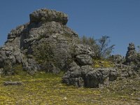 F, Lozere, Fraissinet-de-Fourques, Nimes-le-Vieux 9, Saxifraga-Marijke Verhagen