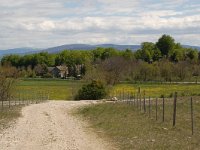 F, Lozere, Le Pompidou, l' Hospitalet 28, Saxifraga-Annemiek Bouwman