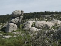 F, Lozere, Le Pont-de-Montvert, Finiels 24, Saxifraga-Willem van Kruijsbergen