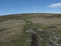 F, Lozere, Le Pont-de-Montvert, Sommet de Finiels 40, Saxifraga-Willem van Kruijsbergen