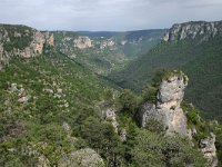 F, Lozere, Le Rozier, Gorge de la Jonte 3, Saxifraga-Dirk Hilbers