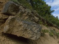 F, Lozere, Les Vignes 28, Saxifraga-Marijke Verhagen