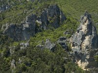 F, Lozere, Les Vignes 8, Saxifraga-Marijke Verhagen