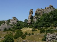 F, Lozere, Sainte-Eulalie 1, Saxifraga-Dirk Hilbers