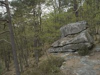 F, Nievre, Dun-les-Places, Roches du Chien 5, Saxifraga-Willem van Kruijsbergen