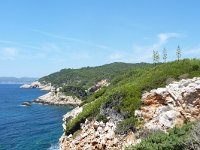 F, Var, Saint-Cyr-sur-Mer, Sentier Littoral 1, Saxifraga-Tom Heijnen