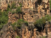 F, Var, Sainte-Maxime, Gorges de Pennafort 3, Saxifraga-Hans Dekker