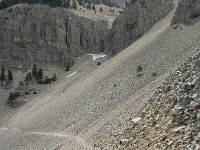 F, Vaucluse, Bedoin, Mont Ventoux 31, Saxifraga-Willem van Kruijsbergen