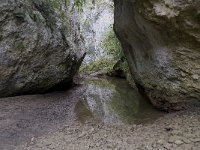 F, Vaucluse, Sault, Gorges de la Nesque 19, Saxifraga-Willem van Kruijsbergen