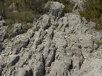 F, Vaucluse, Sault, Gorges de la Nesque 20, Saxifraga-Willem van Kruijsbergen