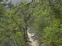 F, Vaucluse, Sault, Gorges de la Nesque 21, Saxifraga-Willem van Kruijsbergen