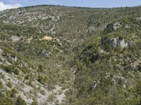 F, Vaucluse, Sault, Gorges de la Nesque 7, Saxifraga-Willem van Kruijsbergen