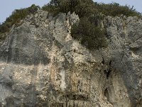 F, Vaucluse, Sault, Gorges de la Nesque, Fayol 3, Saxifraga-Willem van Kruijsbergen