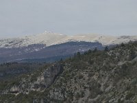 F, Vaucluse, Sault, Gorges de la Nesque, Mont Ventoux 1, Saxifraga-Willem van Kruijsbergen