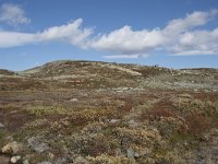 N, Buskerud, Hol, Fagerheim 18, Saxifraga-Willem van Kruijsbergen