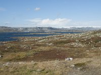 N, Buskerud, Hol, Fagerheim 23, Saxifraga-Annemiek Bouwman