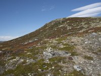 N, Buskerud, Hol, Fagerheim 8, Saxifraga-Willem van Kruijsbergen