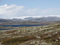 N, Buskerud, Hol, Hardangerjokulen 1, Saxifraga-Willem van Kruijsbergen