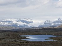 N, Buskerud, Hol, Hardangerjokulen 3, Saxifraga-Willem van Kruijsbergen