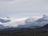 N, Buskerud, Hol, Hardangerjokulen 4, Saxifraga-Willem van Kruijsbergen