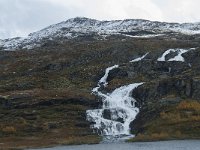 N, Buskerud, Hol, Hovet 13, Saxifraga-Annemiek Bouwman