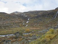 N, Buskerud, Hol, Hovet 2, Saxifraga-Willem van Kruijsbergen