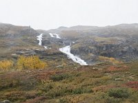 N, Buskerud, Hol, Hovet 3, Saxifraga-Willem van Kruijsbergen