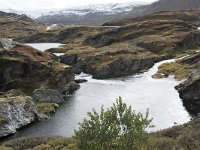 N, Buskerud, Hol, Hovet 7, Saxifraga-Willem van Kruijsbergen