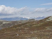 N, Buskerud, Hol, Laegreid 10, Saxifraga-Willem van Kruijsbergen