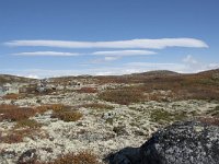 N, Buskerud, Hol, Laegreid 12, Saxifraga-Willem van Kruijsbergen