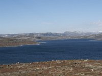 N, Buskerud, Hol, Orteren 13, Saxifraga-Willem van Kruijsbergen