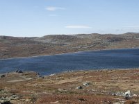 N, Buskerud, Hol, Orteren 14, Saxifraga-Willem van Kruijsbergen