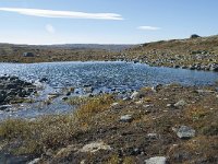 N, Buskerud, Hol, Orteren 25, Saxifraga-Annemiek Bouwman