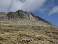 N, Buskerud, Hol, Prestholtseter 10, Saxifraga-Willem van Kruijsbergen