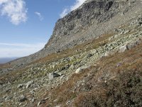 N, Buskerud, Hol, Prestholtseter 15, Saxifraga-Willem van Kruijsbergen