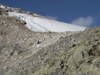 N, Buskerud, Hol, Prestholtseter 21, Saxifraga-Willem van Kruijsbergen