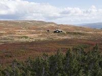 N, Buskerud, Hol, Prestholtseter 3, Saxifraga-Willem van Kruijsbergen