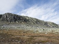 N, Buskerud, Hol, Prestholtseter 31, Saxifraga-Willem van Kruijsbergen